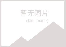 铁岭夏彤能源有限公司